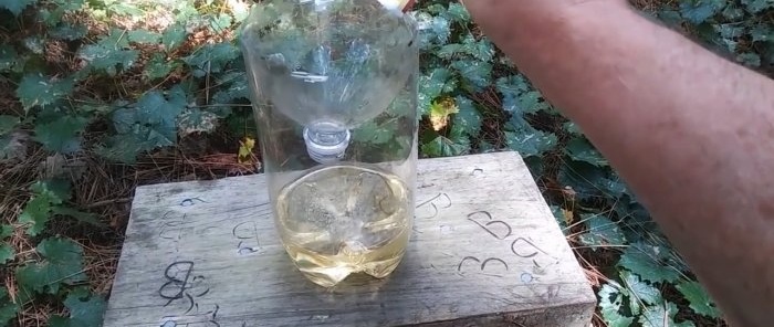 Vaarwel wespen, ik laat je zien hoe je een flessenval maakt en giftige insecten vergeet