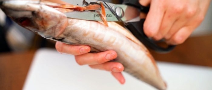 Murmansk mantika o maanghang na bahagyang inasnan na marinated mackerel