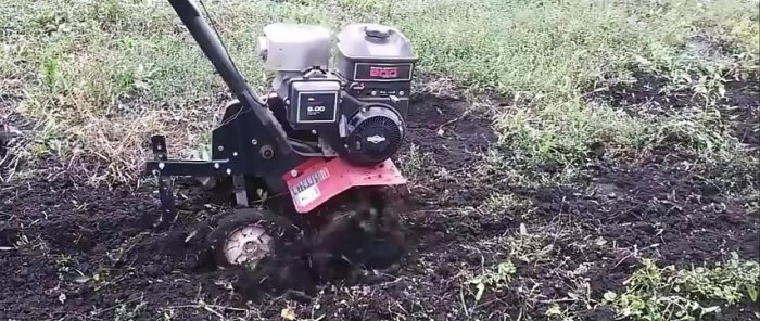 Cum să plantezi ceapa înainte de iarnă pentru a obține o recoltă record