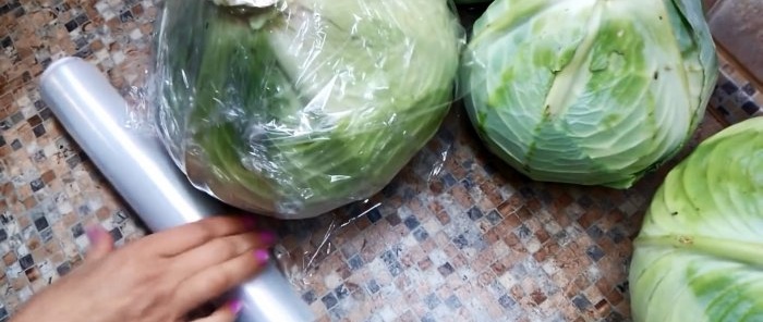 100 ways to preserve cabbage until the next harvest in the cellar, basement, attic or balcony