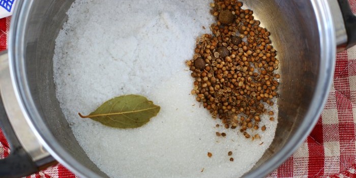 Saindoux tendre de Damskoye salé avec du sel et du sucre