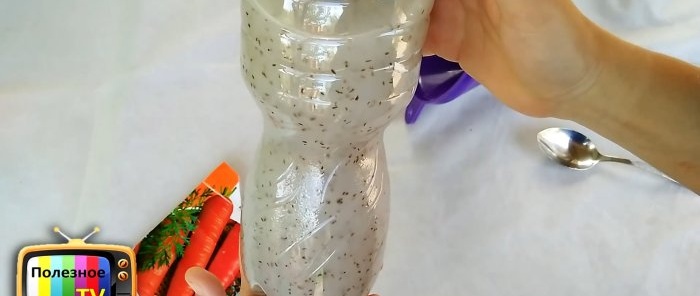 Life hack pro zahradníky: rychlá výsadba mrkve bez ředění