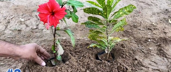 6 outils pour les jardiniers avec Ali Express qui leur faciliteront la vie