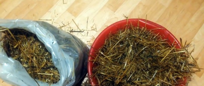 Ako pestovať hlivu ustricovú doma bez nákupu mycélia