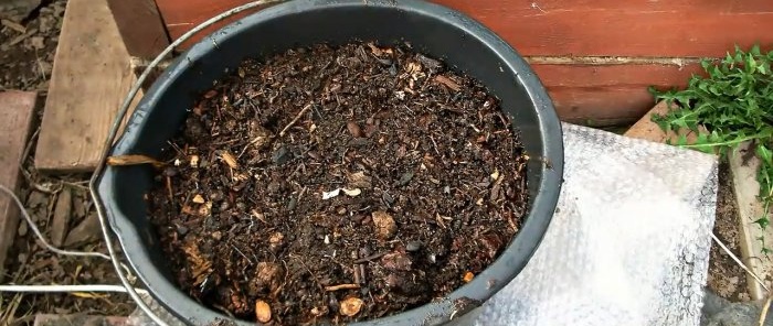 Како посадити кромпир у кутије и сакупити канту из грма