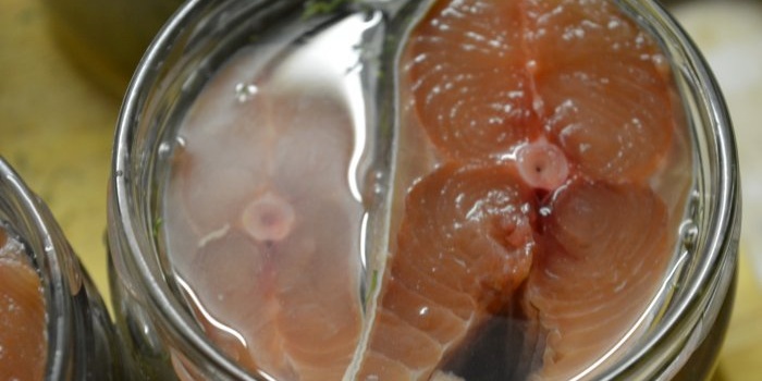 Pengetinan salmon merah jambu buatan sendiri dalam periuk tekanan
