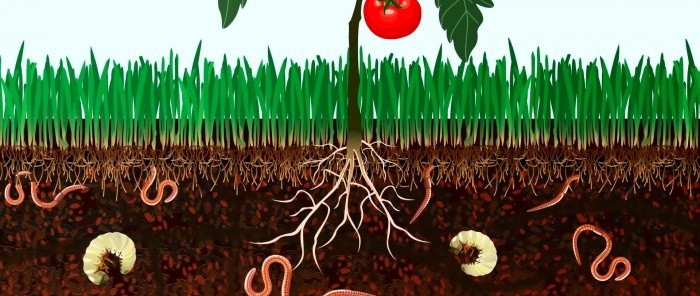 Jak přeměnit potravinový odpad na mimořádně užitečné hnojivo