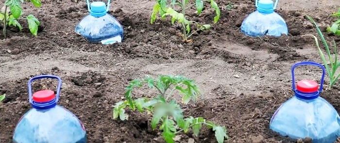 We make free, economical drip irrigation from bottles