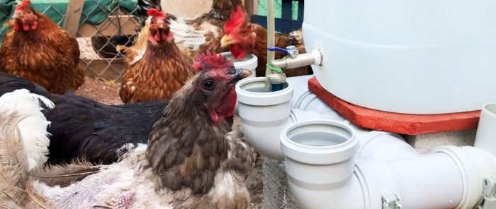 Kanalizasyon tees ve dirseklerinden kümes hayvanları için otomatik suluk