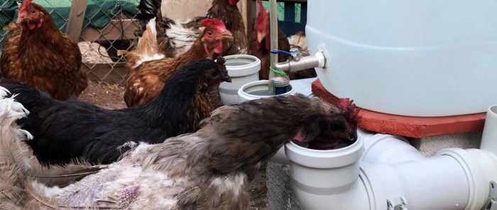 Автоматична поилка за птици от канализационни тройници и колена