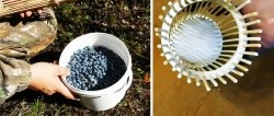 How to make a berry harvester