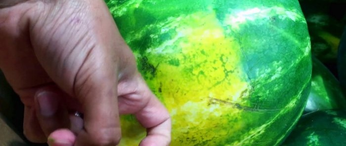 4 pazīmes, kā pamanīt saldo arbūzu