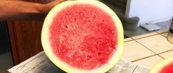 4 tegn på hvordan du oppdager en søt vannmelon