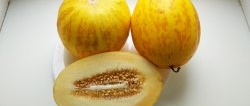 Comment conserver simplement le melon et déguster des « morceaux d’été » en hiver