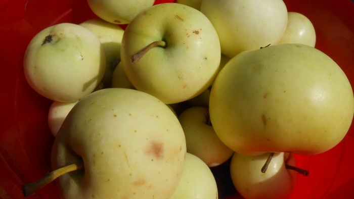Bruke epleådd til å lage kompost og lage varme bed