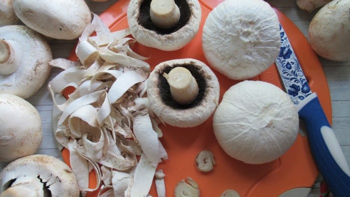 Cum să faci praf de ciuperci acasă