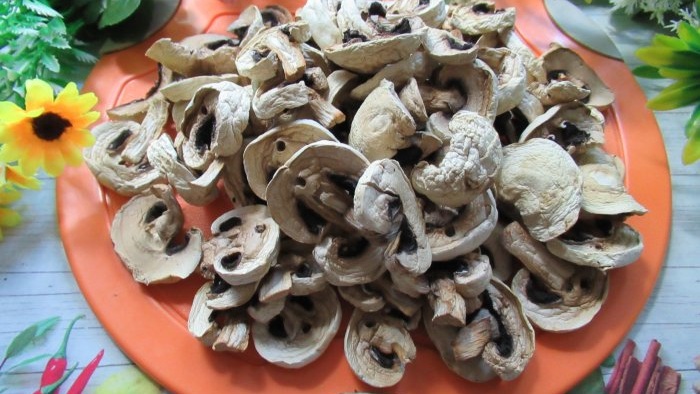 How to dry champignons without a dryer