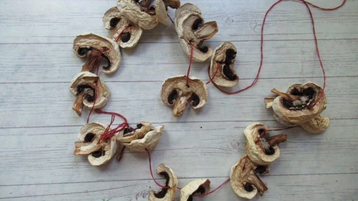 How to dry champignons without a dryer