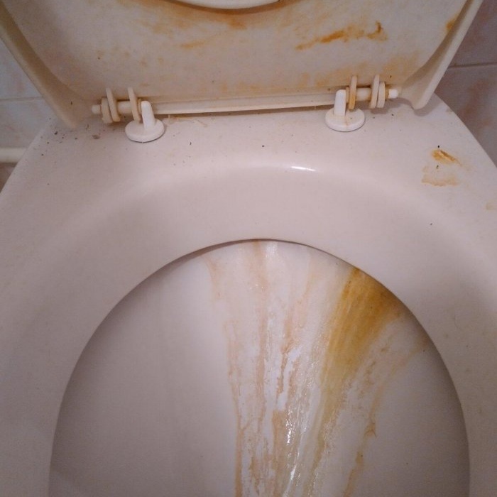 How to clean a toilet from rust and plaque with your own hands