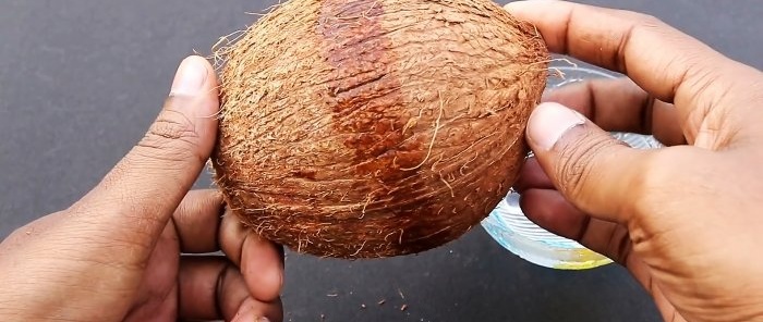 2 life hacks Cara mudah mengupas atau membelah kelapa