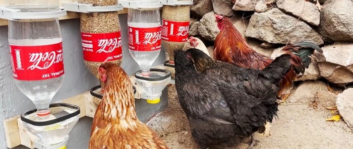 מאכיל אוטומטי עם שתיה אוטומטי עשוי מבקבוקי PET לעופות