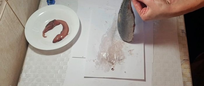 Um método destacável para cortar rapidamente o arenque em filés desossados