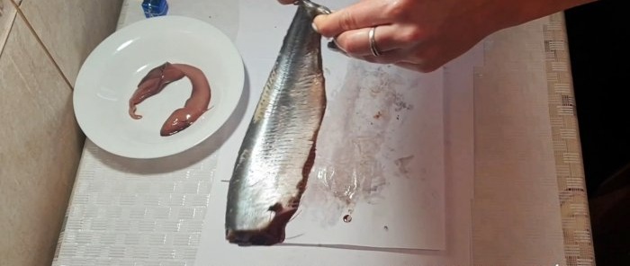 Une méthode de déchirement pour couper rapidement le hareng en filets désossés