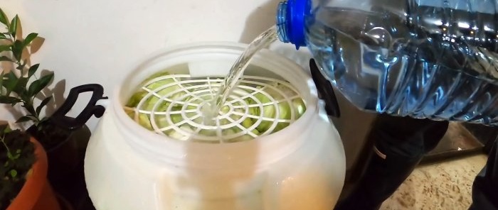 Uma nova forma de fermentar grandes quantidades de repolho com uma furadeira