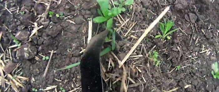 Yabani otları çıkarmak ve toprağı gevşetmek için hurda malzemelerden hafif bir bahçe çapası nasıl yapılır
