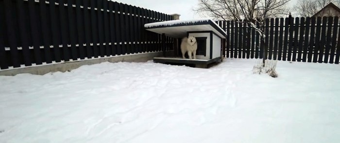 كيفية صنع بيت كلب دافئ مع التحكم بالواي فاي