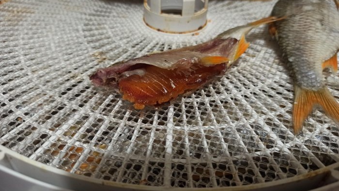 Jednoduchý spôsob solenia a sušenia rýb v elektrickej sušičke