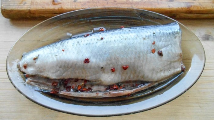Ringa balığı son derece lezzetli bir şekilde nasıl tuzlanır: 3 kuru tuzlama yöntemi