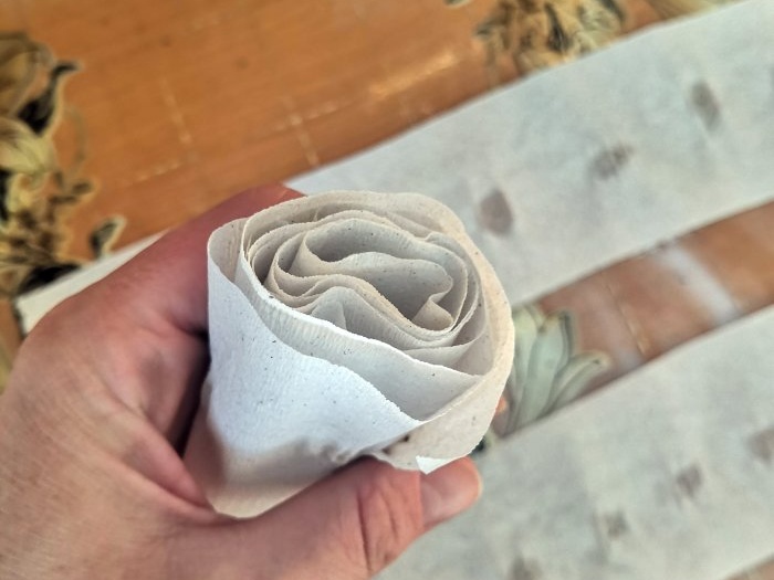 Kako olakšati sadnju mrkve pomoću toaletnog papira