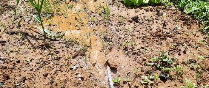 Come realizzare un irrigatore da giardino da una bottiglia in PET
