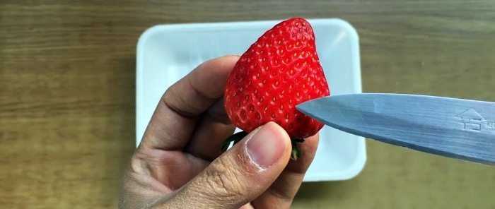 Hvordan man dyrker jordbær fra frø