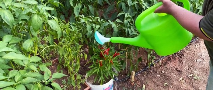 Efficiente irrigatore da giardino realizzato con tubi in PP e bottiglie in PET