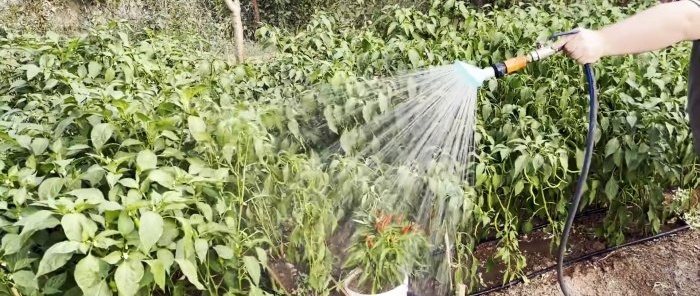 Efficient garden sprinkler made from PP pipes and PET bottles