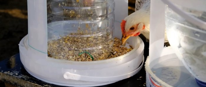 Conception facile à reproduire d’un mangeoire et d’un abreuvoir automatiques durables pour volailles