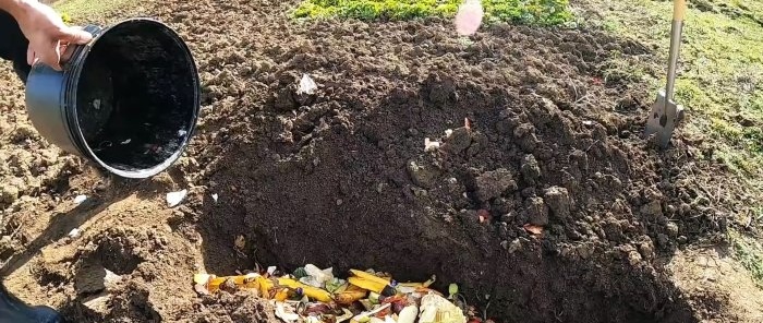 ¿Por qué los jardineros experimentados entierran los desechos de la cocina en el jardín?