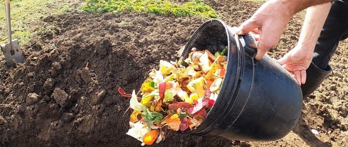 Por que jardineiros experientes enterram resíduos de cozinha no jardim?