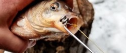 Kaip pasidaryti žuvies kabliuko nuėmiklį