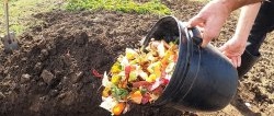 Por que jardineiros experientes enterram resíduos de cozinha?