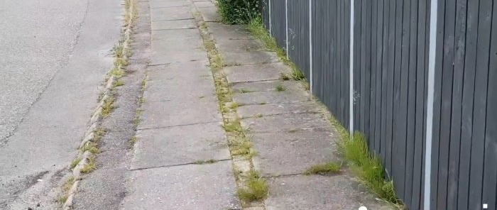 Hur man enkelt tar bort gräs mellan plattor utan att köpa kemikalier