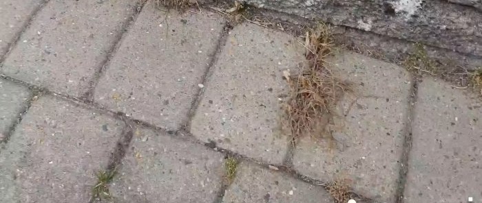 Hoe je eenvoudig gras tussen tegels verwijdert zonder chemicaliën te kopen