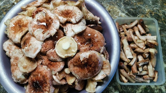 Isang simpleng recipe para sa malamig na adobo na mushroom