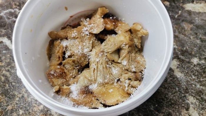 Een eenvoudig recept voor koud ingelegde champignons