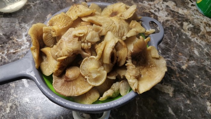 Una ricetta semplice per i funghi in salamoia freddi