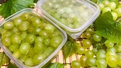 Hoe groene druiven te bevriezen zodat de bessen hun oorspronkelijke vorm niet verliezen