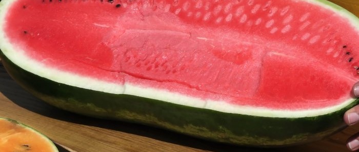 So wählen Sie eine reife Zuckerwassermelone richtig aus