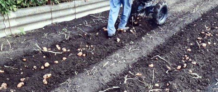 Comment fabriquer une arracheuse de pommes de terre sur un tracteur à conducteur marchant